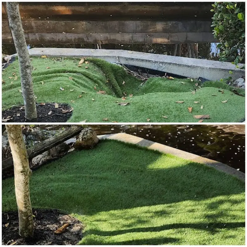 Seawall Repair