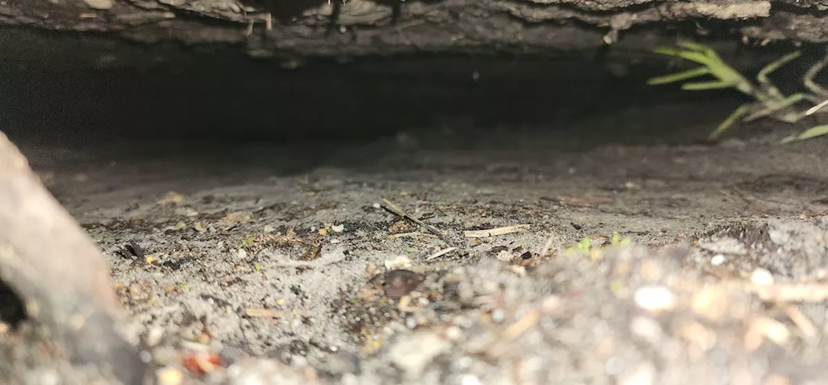 Dark cavity beneath a concrete slab before polyurethane injection